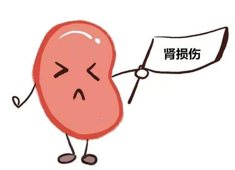 比抽煙喝酒還傷“腎”的幾大食物! 比抽煙喝酒還傷“腎”的幾大食物!