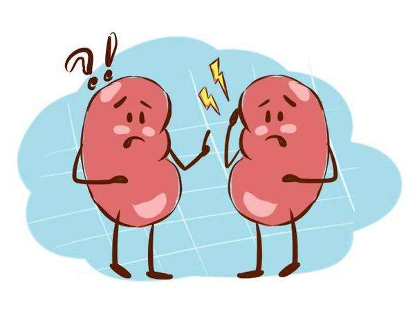 健康養(yǎng)生小知識(shí)!腎衰竭的早期癥狀表現(xiàn)有哪些? 健康養(yǎng)生小知識(shí)!腎衰竭的早期癥狀表現(xiàn)有哪些?